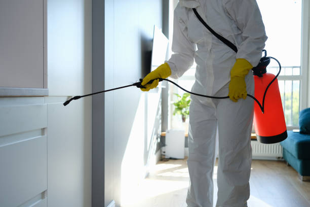 Best Mold Testing and Inspection Services in Central Islip, NY